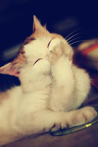 江宁出现两例热射病本月120已急救76例中暑病人_豪门国际pg电子