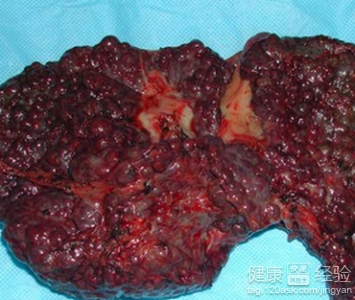 豪门国际pg电子