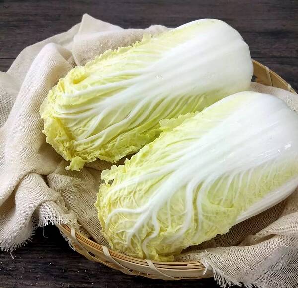 豪门国际注册入口